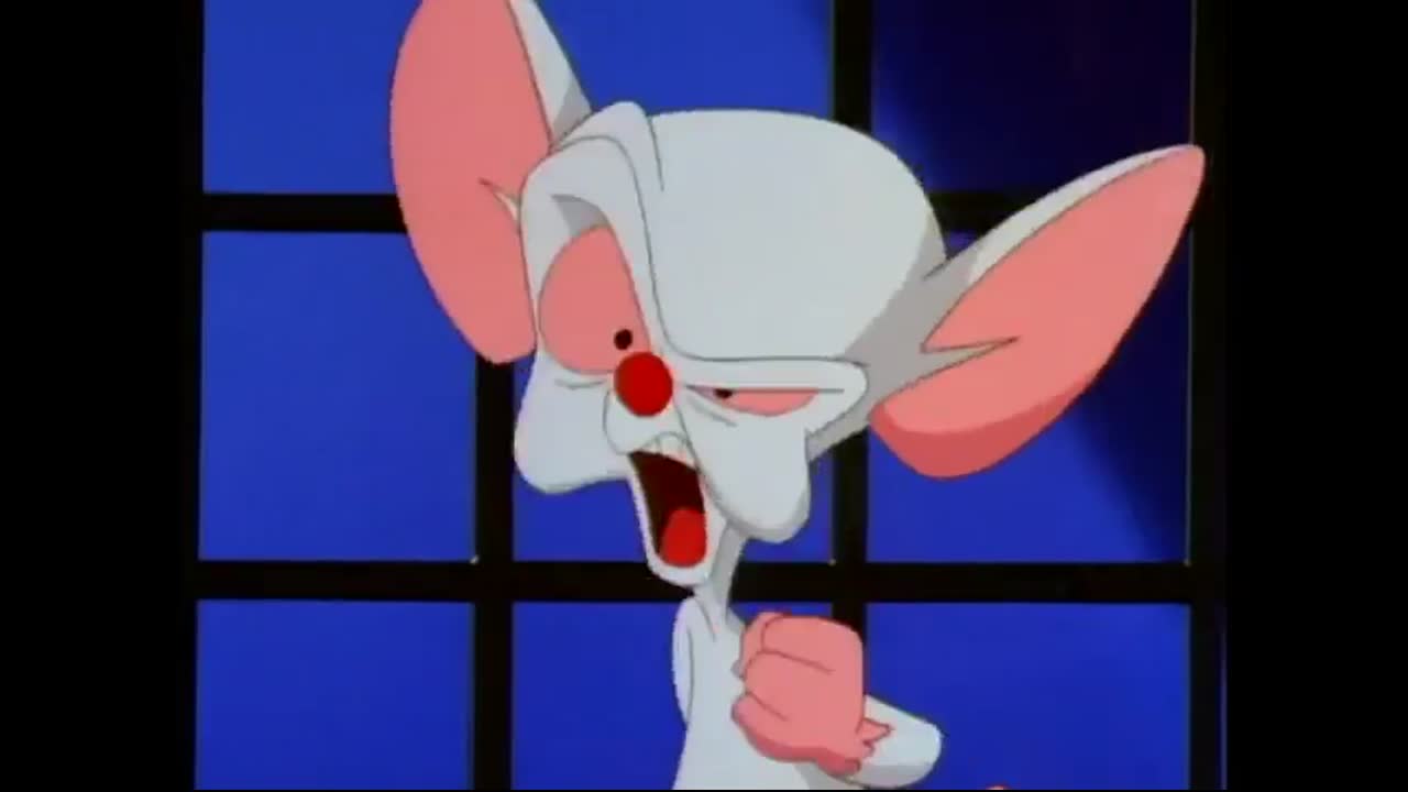 Pinky And The Brain Take Over The World