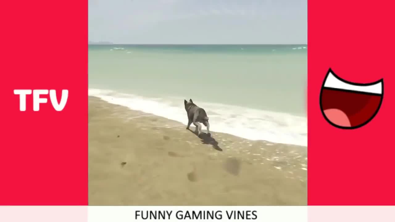 the funniest videos - damn feet | Download HD video clip on | Vlipsy