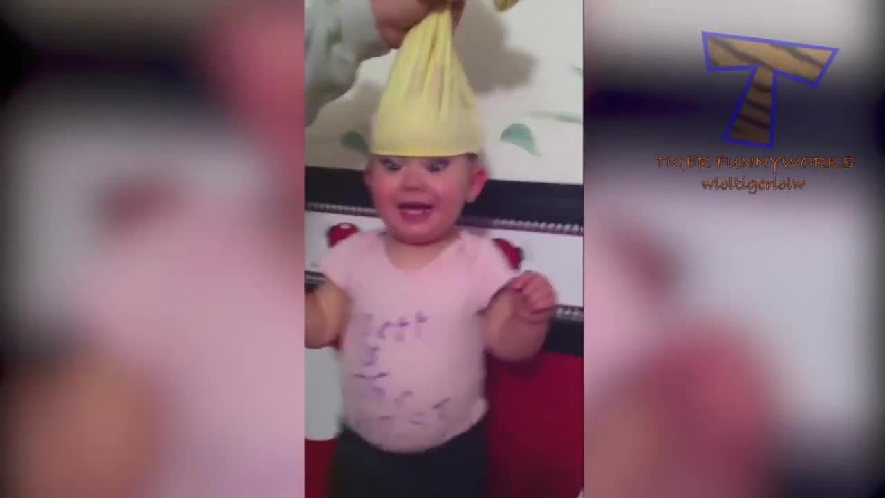 Tiger Funnyworks On Your Mark Get Set Gooo Find Clips On Vlipsy