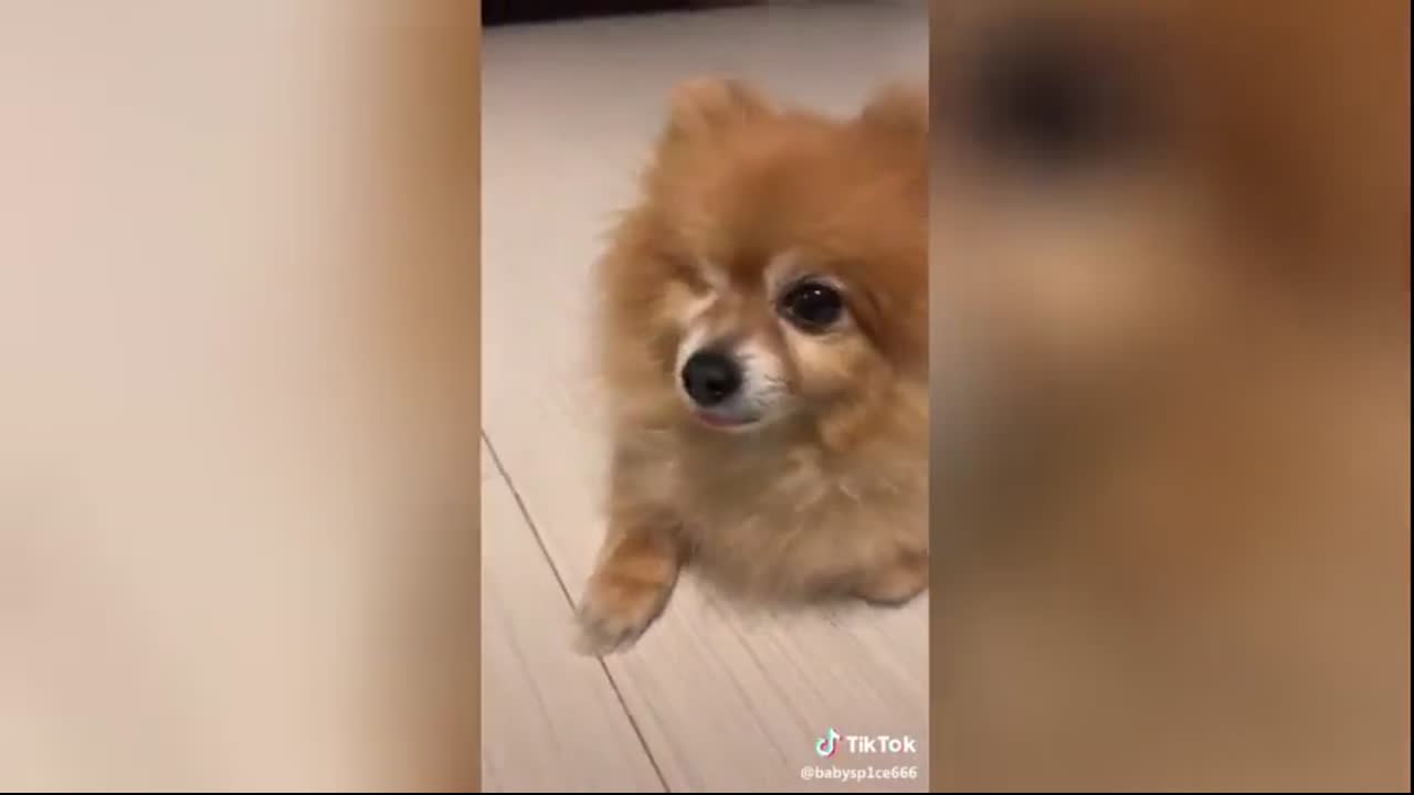 Give Me A Second Eye Lyrics