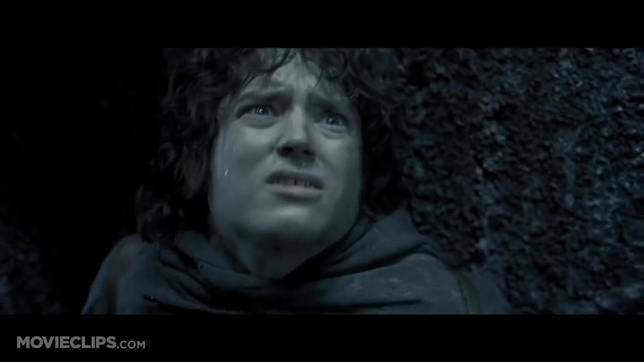 The Lord of the Rings: The Fellowship of the Ring - Frodo grimacing ...
