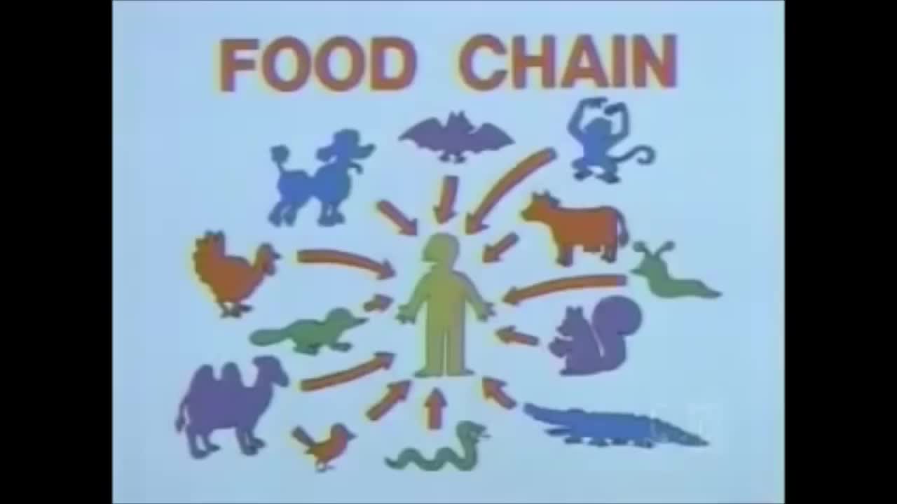 Simpsons Hour Chain The Simpsons - The Food Chain | Download HD video clip on | Vlipsy