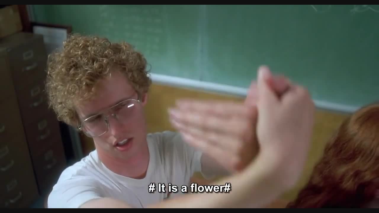 Napoleon Dynamite - I say love, it is a flower | Download HD video clip on  | Vlipsy, image size:1280x720