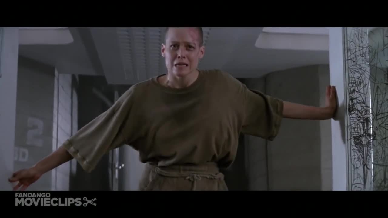 Alien 3 - It's Here | Download HD video clip on | Vlipsy
